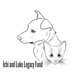 Ichi and Luke Legacy Fund